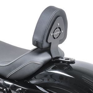 Fahrer Sissybar für Harley Davidson Sportster 04-20 Fahrer Rückenlehne_0