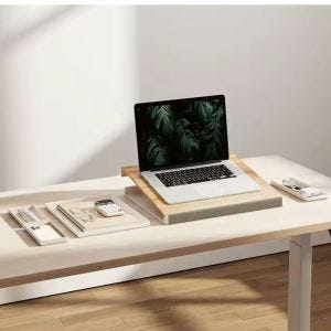 2-in-1 Laptop Stand LS28 Laptopbox mit Fächern bambus