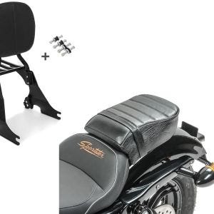 Set: Sissybar für Harley Sportster 883 Iron 09-20 inkl. Gepäckträger + Sozius Sitz für Harley Sportster Forty-Eight 48/ 883 Iron_1
